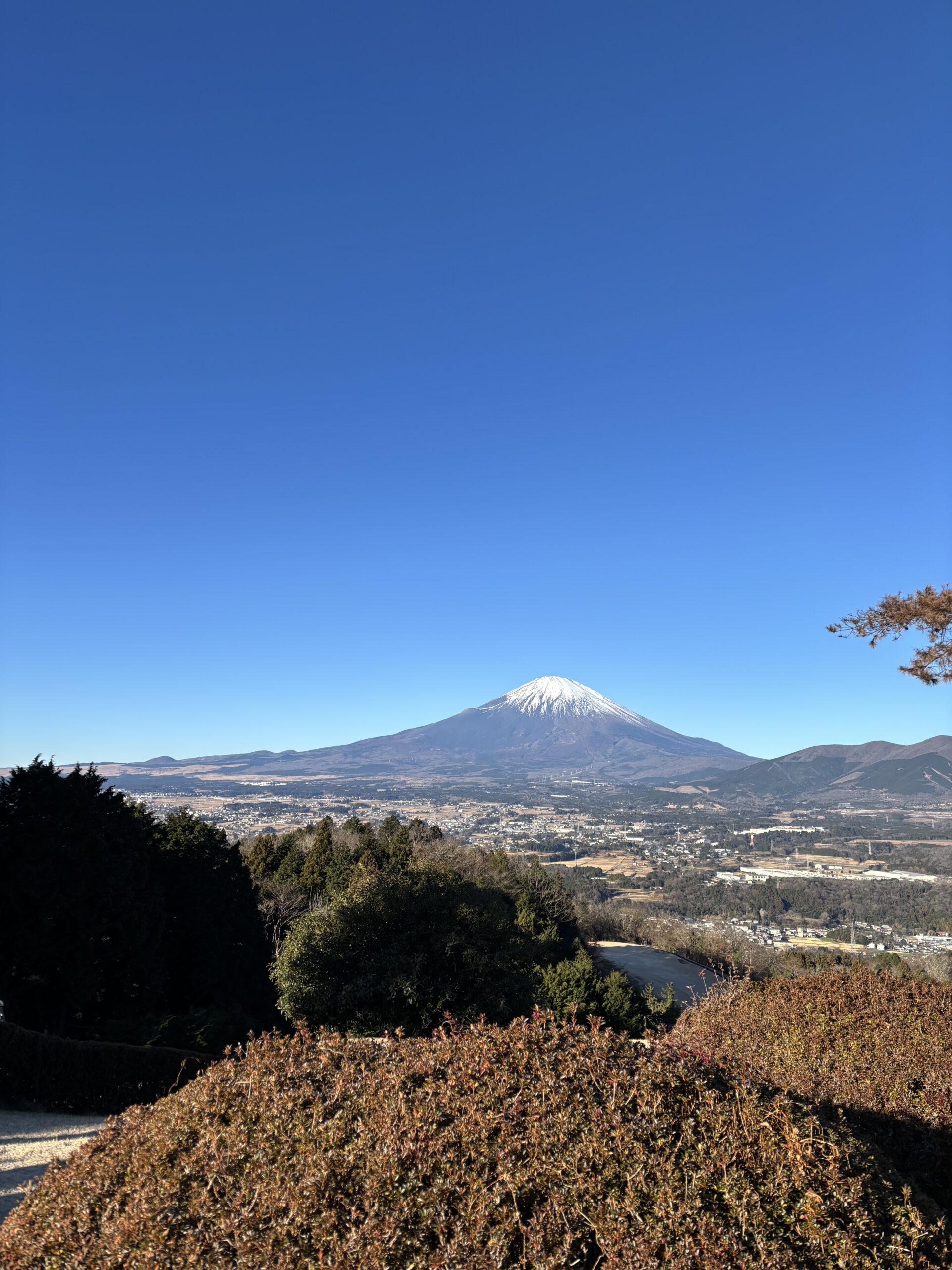 ウェッジの話から始まったブログ　　This Blog Started with a Wedge